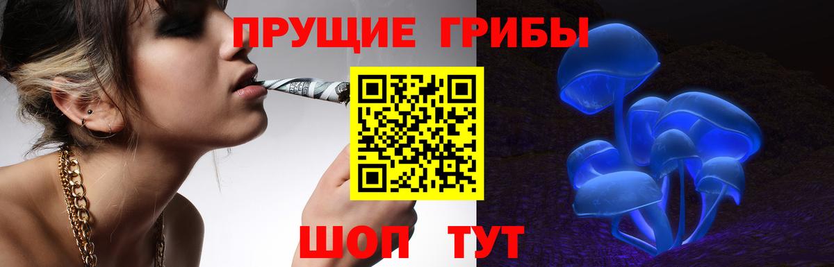 Галлюциногенные грибы GOLDEN TEACHER Ленинск-Кузнецкий